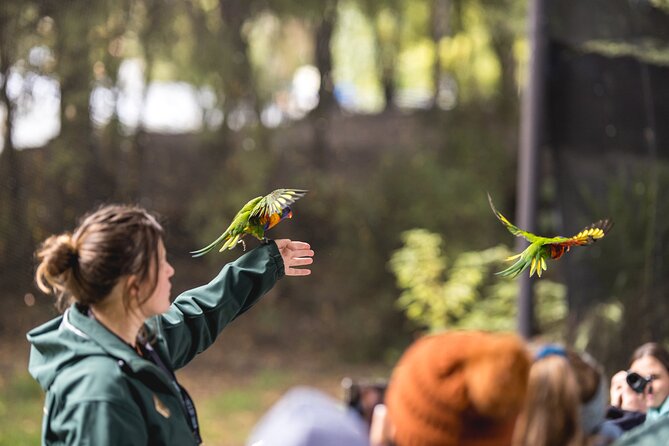 Kiwi Park Queenstown Admission - Daytime bird exhibits: more than just kiwis