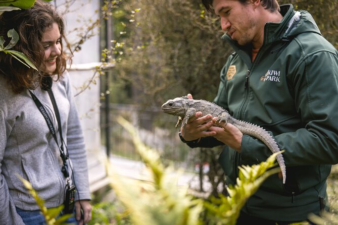 Kiwi Park Queenstown Admission - Trails, comfort, and the practical stuff that makes the visit smoother