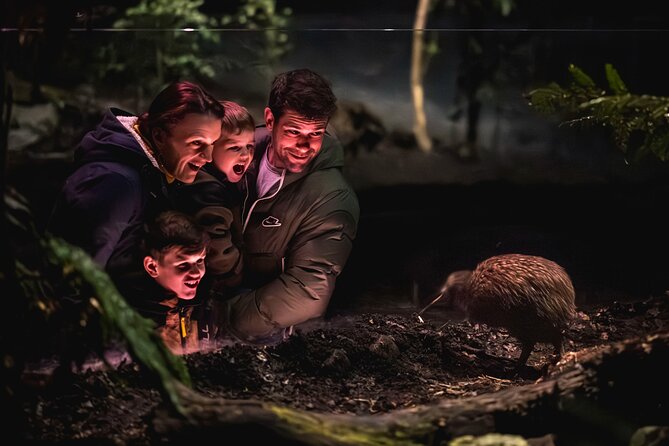 Kiwi Park Queenstown Admission - Your day plan: how to fit kiwi encounters and shows without stress