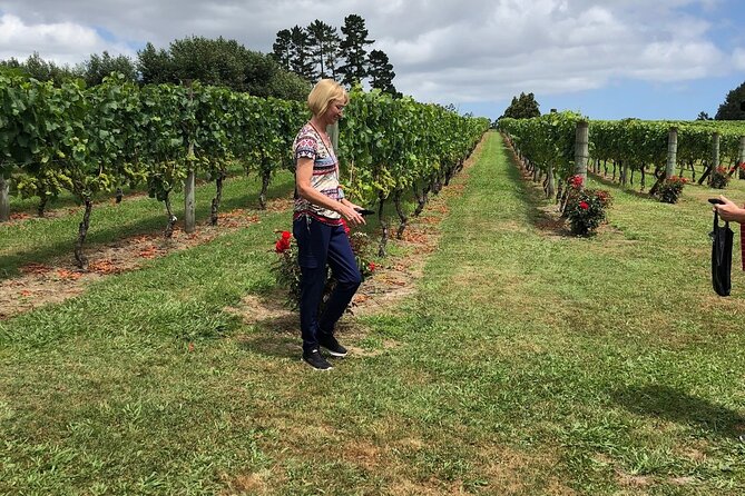 Kumeu Wine Tour - Kumeu Wine Country Made Easy From Auckland