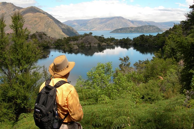 Lake Cruise & Mou Waho Island Nature Walk - Lake Wanaka cruise: the 30 minutes that set the stage