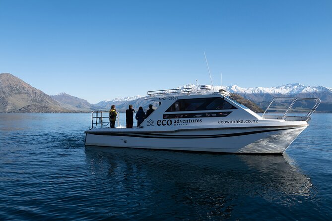 Lake Cruise & Mou Waho Island Nature Walk - Wānaka Marina check-in, then off to the water