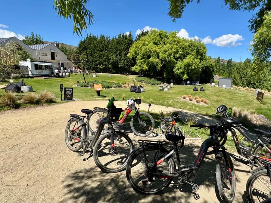 Lake Dunstan Trail eBike Adventure (inc Shuttle) - Dunstan Arms Rowing Club to Halfway Hut, picnic stops and a real climb