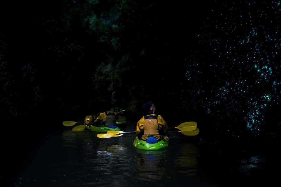 Lake Karapiro: Evening Kayak Glowworm Tour - FAQ