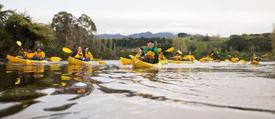 Lake Karapiro: Evening Kayak Glowworm Tour - Lake Karapiro and the Pokaiwhenua Stream: what you’re actually kayaking through