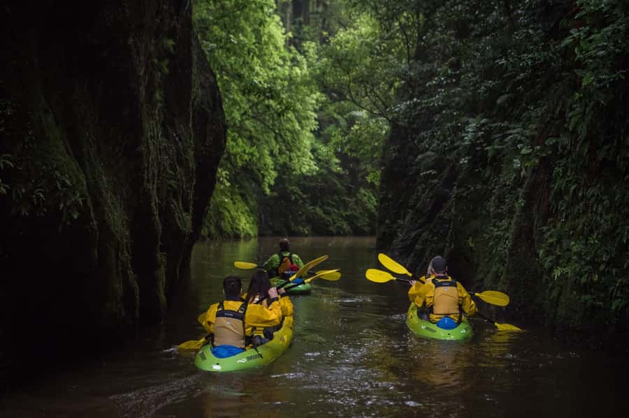 Lake Karapiro: Evening Kayak Glowworm Tour - Gear and comfort: what’s included, what you should add
