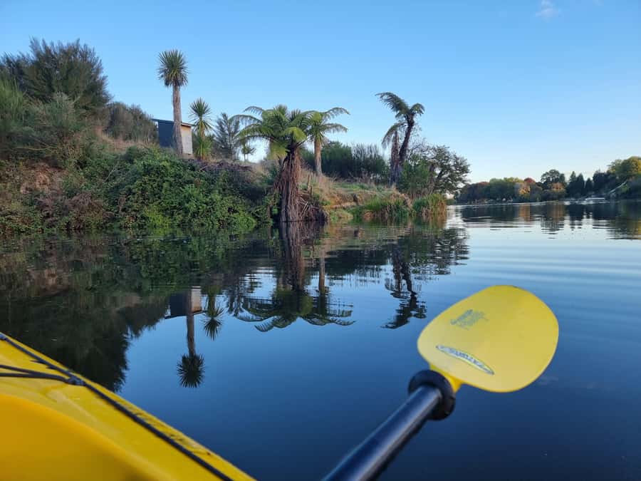 Lake Karapiro: Evening Kayak Glowworm Tour - Price and value: is $89 worth a 210-minute glowworm paddle?