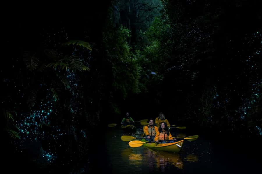 Lake Karapiro: Evening Kayak Glowworm Tour - Who should book this glowworm kayak tour, and who should think twice