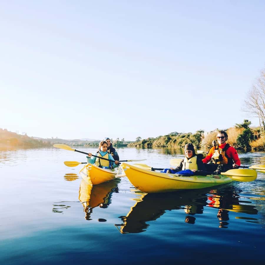 Lake Karapiro: Evening Kayak Glowworm Tour - Should you book the Lake Karapiro evening kayak glowworm tour?
