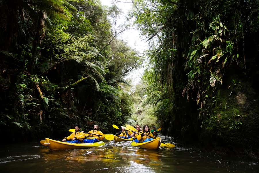 Lake Karapiro: Evening Kayak Glowworm Tour - Riverside Adventures to the Horahora area: twilight paddling with a story