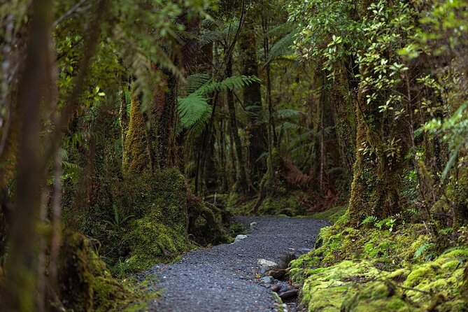 Lake Matheson Nature Tour - Guides Like Louis and Jerome, and What Small-Group Pace Actually Means