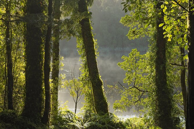 Lake Matheson Nature Tour - Evening Timing, Weather Gear, and Staying Comfortable When the Coast Has Opinions
