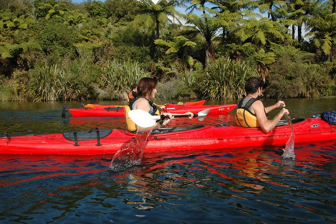 Lake Rotoiti Evening Kayak Tour including Hot Springs, Glowworm Caves and BBQ Dinner - BBQ Dinner at the Pools: Real Food, Not Snack-Stop Energy