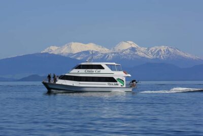 Lake Taupo: 1.5-Hour Māori Rock Carvings Cruise