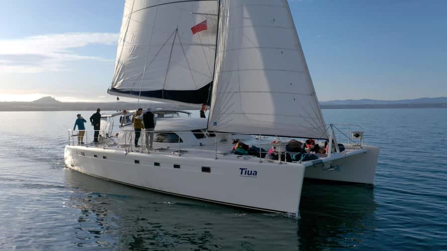 Lake Taupo: Luxury Sailing Catamaran to Māori Rock Carvings - Swim stop and the all-weather setup that makes it easy to stay comfortable