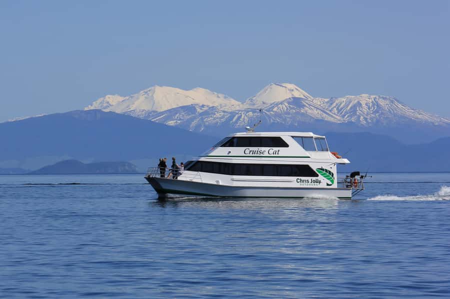 Lake Taupo: Maori Rock Carvings 10.30 AM 1.5-Hour Cruise - Key reasons this cruise is worth your time
