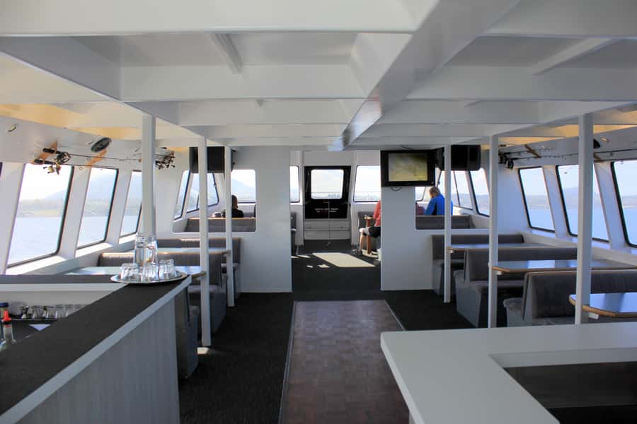 Lake Taupo: Maori Rock Carvings 10.30 AM 1.5-Hour Cruise - Lake Taupo by catamaran, with snow peaks in your background