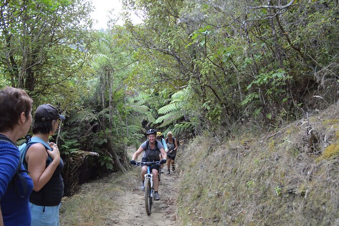 Lake Taupo - Maori Rock Carvings Package (Mountain Biking & Kayaking) - Booking tips and what to expect on the day