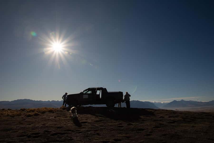 Lake Tekapo Guided 4WD Tours (Small Group, Carbon Positive) - Spotting farm life and wild tahr on the same drive