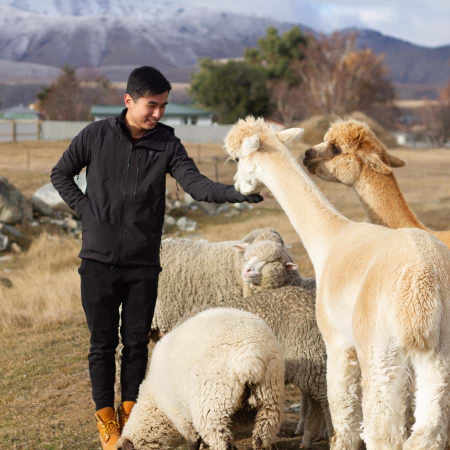 Lake Tekapo: Guided Petting Zoo Visit - What you actually get: entry plus one feed bag