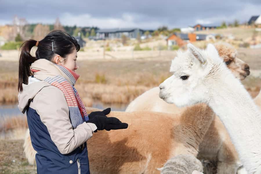 Lake Tekapo High Country Farm Tour (Carbon Positive) - Key highlights you will feel right away