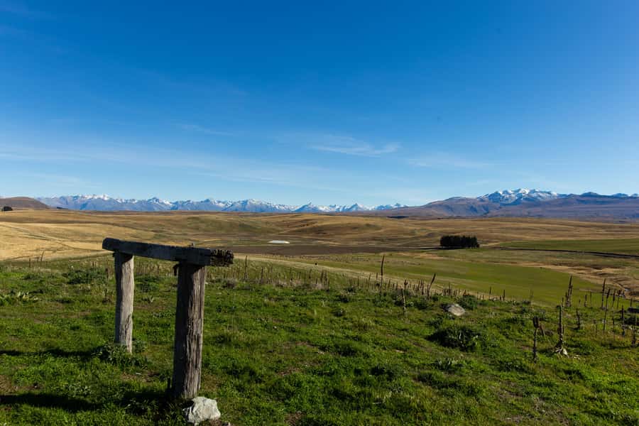 Lake Tekapo High Country Farm Tour (Carbon Positive) - Irishman Creek Hut and Swan Tarn, including Black Stilt conservation