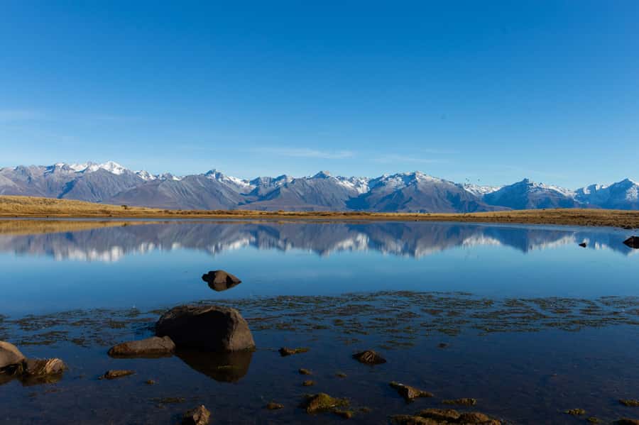 Lake Tekapo High Country Farm Tour (Carbon Positive) - Forks Stream water and New Zealand honey: small tastes, real place