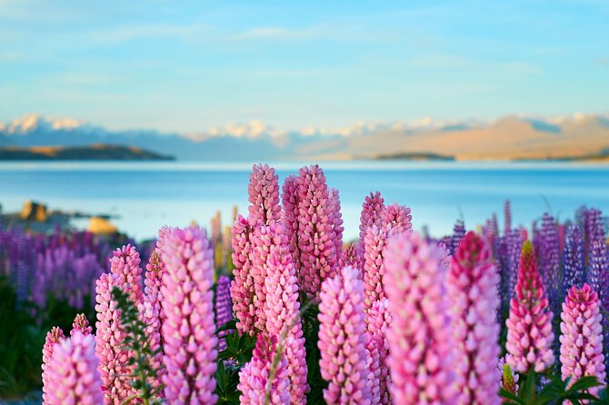 Lake Tekapo Private Day Trip from Queenstown - A Private Lake Tekapo Day Trip That Moves at Your Pace