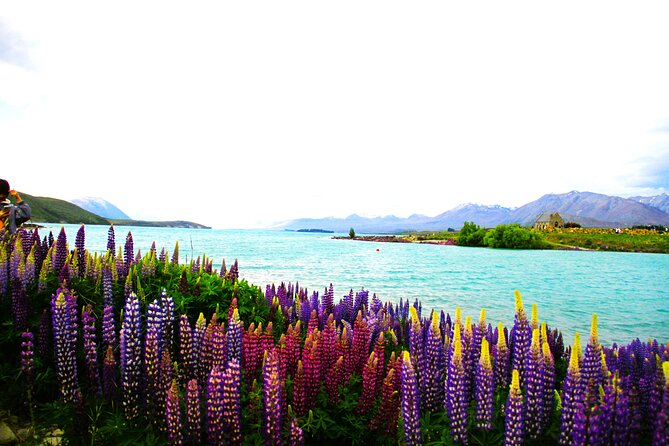 Lake Tekapo Stargazing & Mount Cook 2-Day Tour from Christchurch - Should you book this tour or look elsewhere?