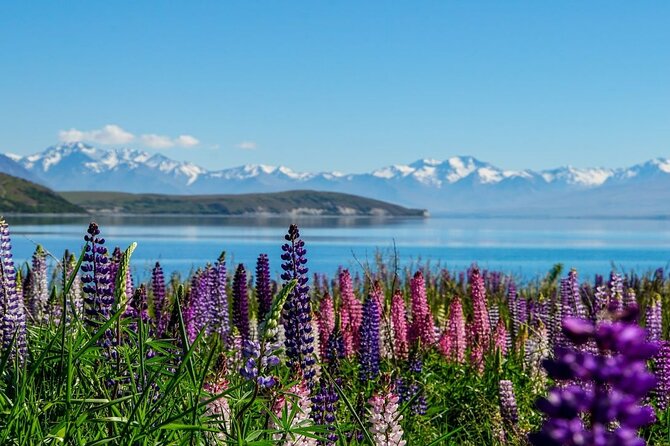 Lake Tekapo to Mt Cook One-Way Small Group Tour - Key things to know before you go