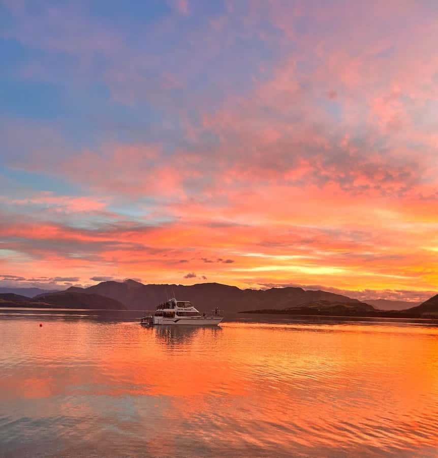 Lake Wanaka Happy Hour Cruise - Who this cruise is best for, and who should consider another option