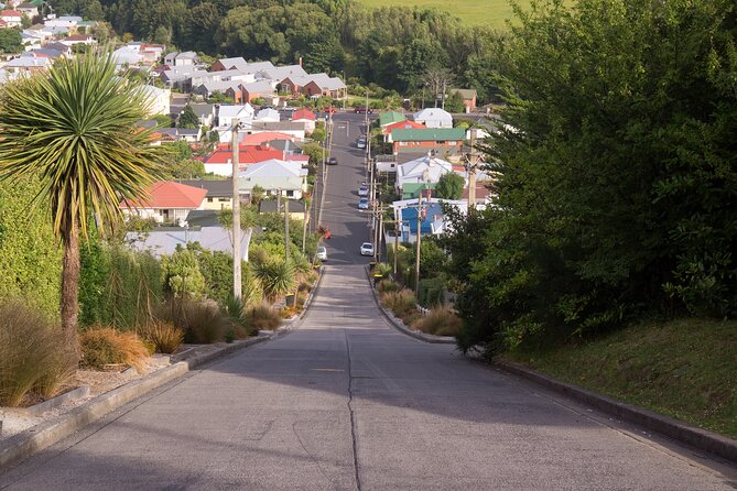 Larnach Castle & Dunedin City Highlights Tour (Shore Excursion) - Key tour takeaways