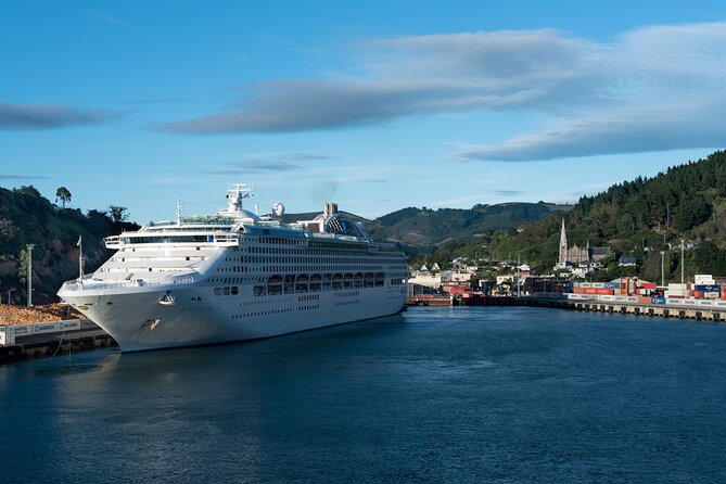 Larnach Castle & Dunedin City Highlights Tour (Shore Excursion) - Value check: what €107.55 covers, and what it does not