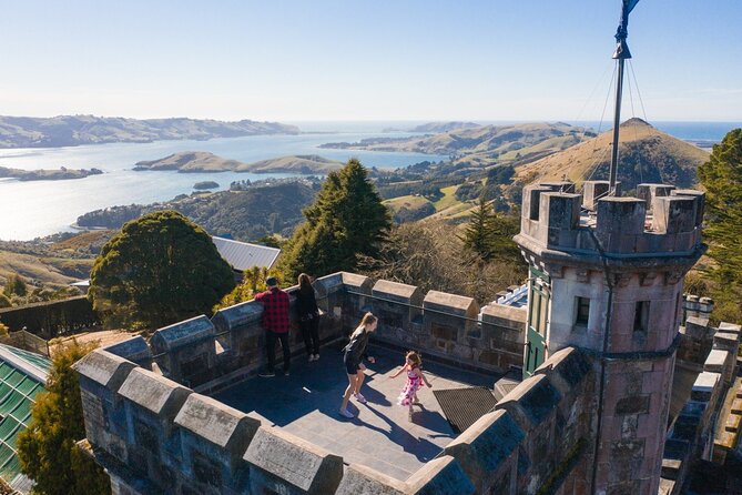 Larnach Castle & Otago Wildlife Cruise from Dunedin - Key things I’d zero in on