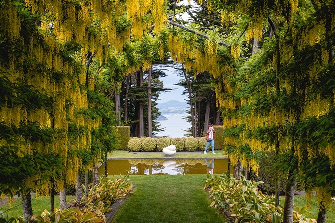 Larnach Castle & Otago Wildlife Cruise from Dunedin - Price, comfort, and what you need to bring