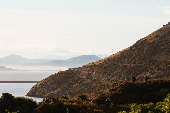 Larnach Castle & Otago Wildlife Cruise from Dunedin - If weather cancels part of the plan, here’s what to expect