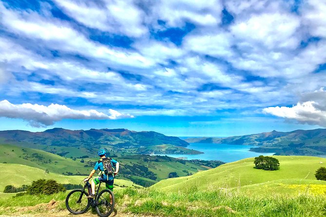Lava Loop- Guided electric mountain bike tour in Akaroa - Key things to know before you ride Lava Loop