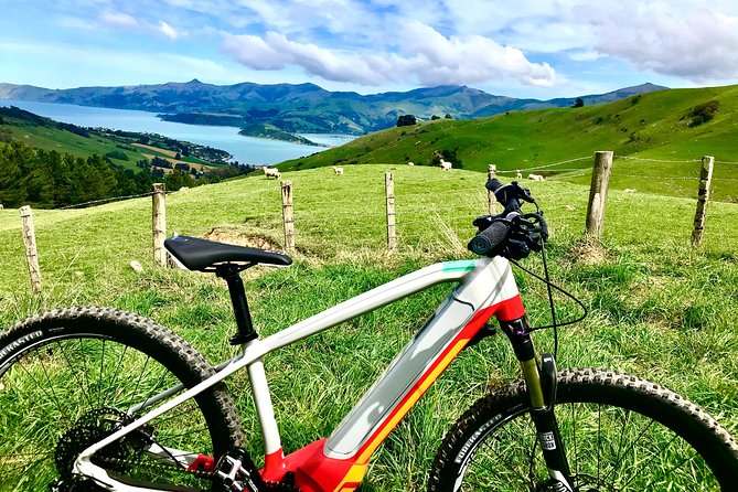 Lava Loop- Guided electric mountain bike tour in Akaroa - Lava Loop in Akaroa: what makes it worth your time