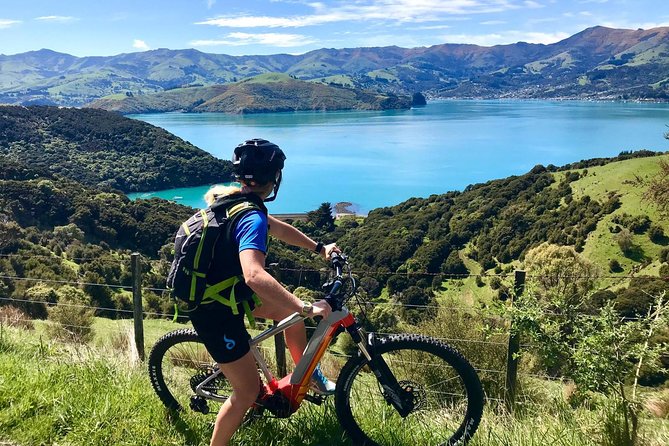 Lava Loop- Guided electric mountain bike tour in Akaroa - Price and value: is $192 reasonable for 3 hours?