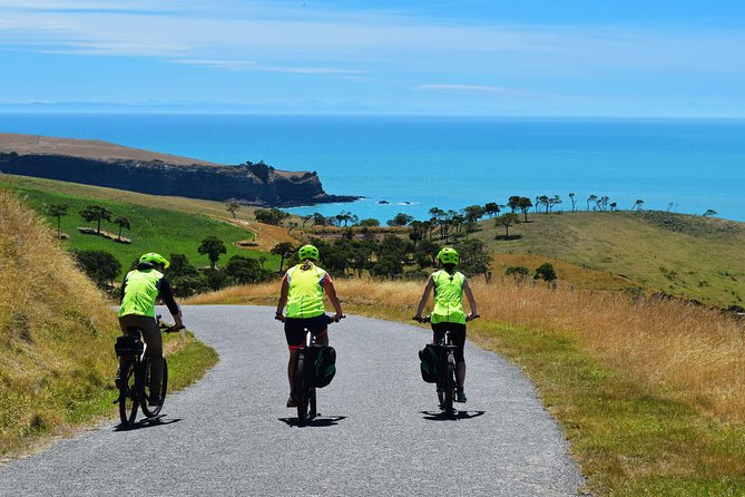 Lava Loop- Guided electric mountain bike tour in Akaroa - Logistics that actually matter: timing, weather, and cruise days