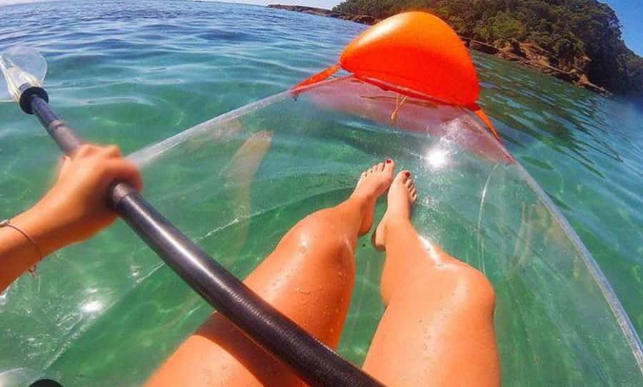 Leigh: Goat Island Clear Kayak Rental - Key Points to Know Before You Paddle