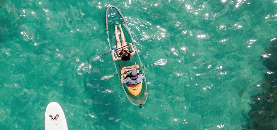 Leigh: Goat Island Clear Kayak Rental - Goat Island Marine Reserve, Why This Waterscape Matters