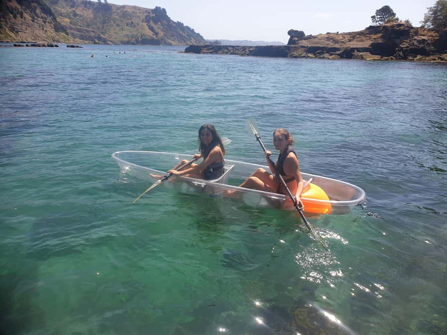 Leigh: Goat Island Clear Kayak Rental - Price and Value, What $107 Covers for a Small Group Paddle