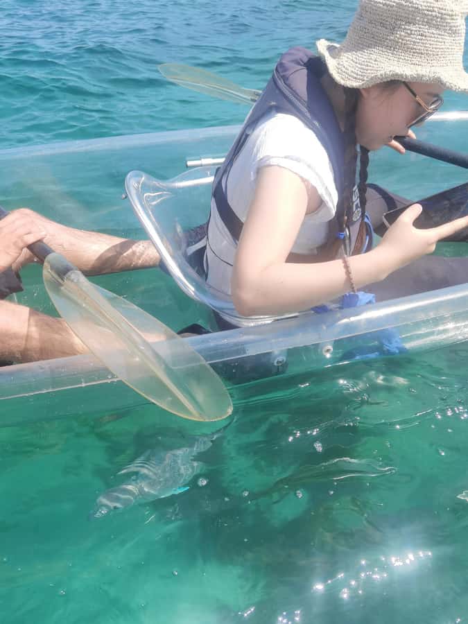Leigh: Goat Island Clear Kayak Rental - Safety in Real Life, When Conditions Change