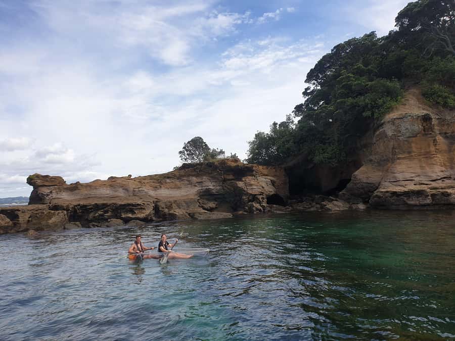 Leigh: Goat Island Clear Kayak Rental - Should You Book the Leigh Goat Island Clear Kayak Rental?