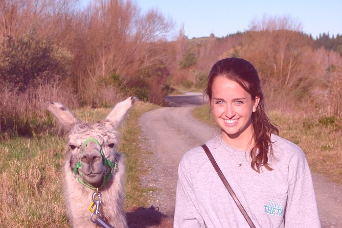 Llama Trek (Taster) - Kowhai River Valley and Native Woodland Tour - Your trek with llamas: what up-close really means on the ground