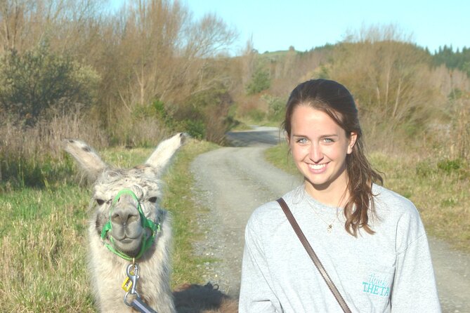 Llama Trek (Taster) - Kowhai River Valley and Native Woodland Tour - Price and timing: is $83.16 a good value for a 1.5 hour taster?