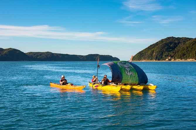Lock, Stock & 2 Smoking Paddles - Astrolabe Roadstead and fur seals at kayak level