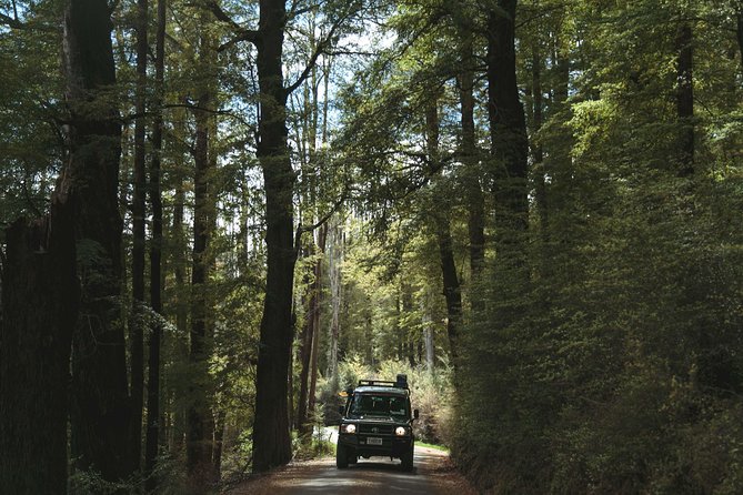 Lord of Rings Tour around Queenstown Lakes by 4WD (full day) - Isengard and Lothlorien vibes: Dart River to Paradise