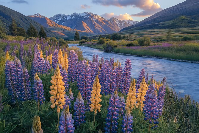 Lord of the Rings Scenic Half Day Tour from Queenstown - Mount Aspiring National Park: real forest and real filming ground